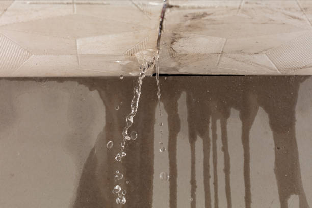 Professional Water Damage Repair technician working in Malaga, WA